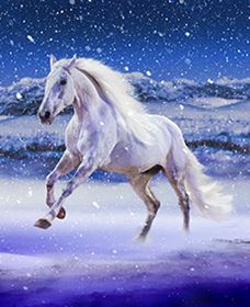 Australian Outback Spectacular: High Country Legends - Yarra Valley Accommodation 1