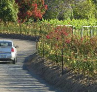 Cassegrain Wines - Yarra Valley Accommodation