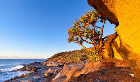 Angourie To Brooms Head - Yarra Valley Accommodation 1