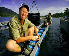 Armstrong Oysters - Yarra Valley Accommodation 0