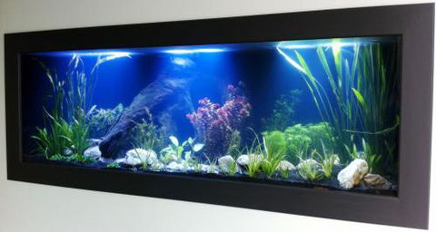 Aquariums In Cairns - Yarra Valley Accommodation 0