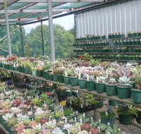 Summerland Aquarium - Yarra Valley Accommodation