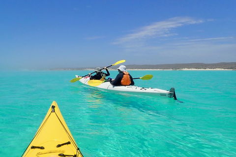 Lagoon Explorer - Ningaloo Reef Full-Day Kayaking And Snorkeling Adventure - Yarra Valley Accommodation 7