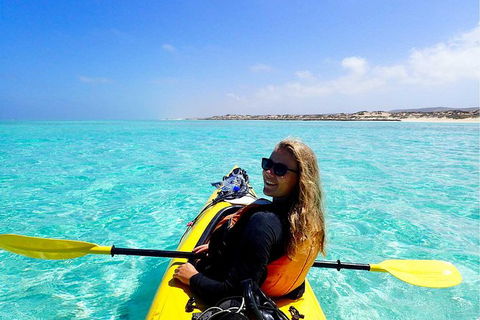 Lagoon Explorer - Ningaloo Reef Full-Day Kayaking And Snorkeling Adventure - Yarra Valley Accommodation 2