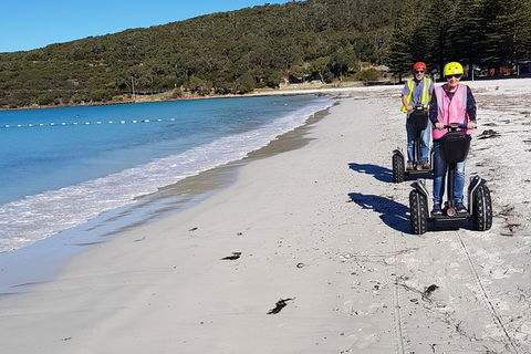 Albany Summit To Sea Adventure - Guided Segway Tour - Yarra Valley Accommodation 1