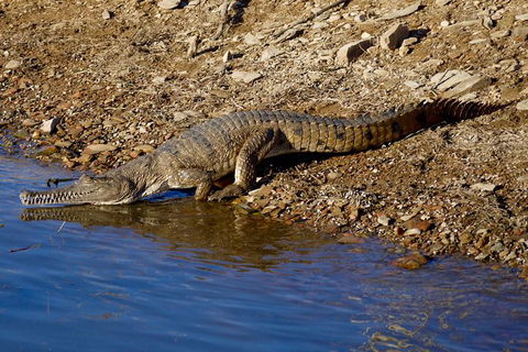 Lake Argyle Morning Cruise - Yarra Valley Accommodation 7