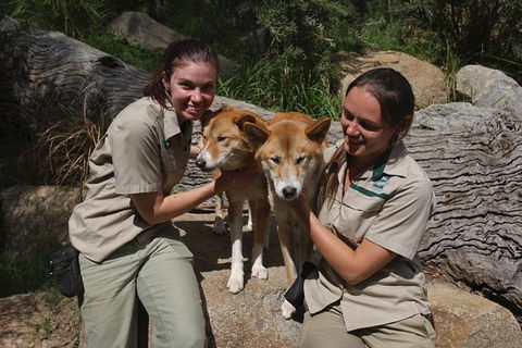 Healesville Sanctuary And Yarra Valley Day Trip From Melbourne - Yarra Valley Accommodation 12