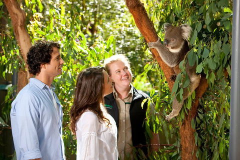 Healesville Sanctuary And Yarra Valley Day Trip From Melbourne - Yarra Valley Accommodation 4
