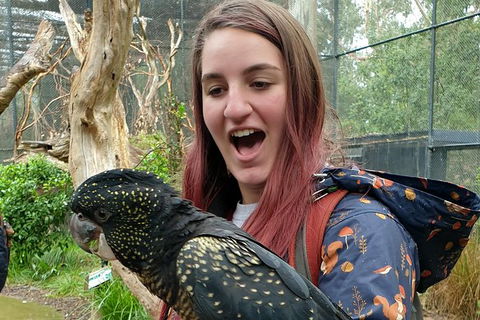 Healesville Sanctuary And Yarra Valley Day Trip From Melbourne - Yarra Valley Accommodation 10