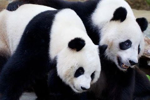 Adelaide City Tour With Optional River Cruise And Adelaide Zoo Admission - Yarra Valley Accommodation 1
