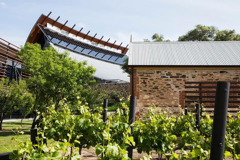 Australian Wine Discovery Tour With Tastings - Yarra Valley Accommodation 6