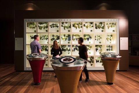Australian Wine Discovery Tour With Tastings - Yarra Valley Accommodation 5