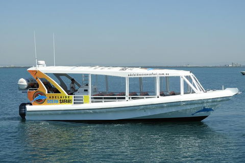 Adelaide Ocean Safari - Wild Dolphin Safari - Yarra Valley Accommodation 0