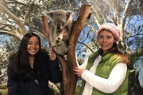 Australia Multi-City Attractions Pass - Yarra Valley Accommodation 2