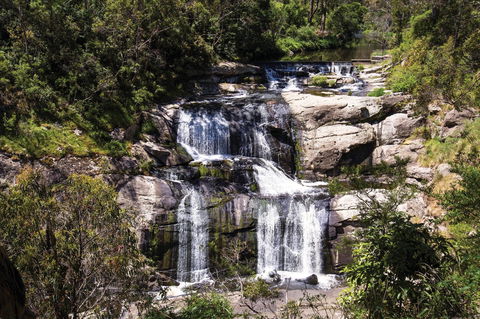 Agnes Falls Scenic Reserve - Yarra Valley Accommodation 0