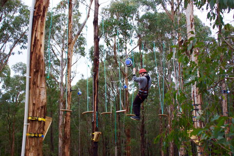 Kinglake Forest Adventures - Yarra Valley Accommodation 0