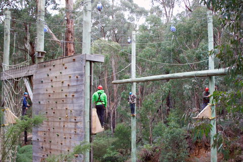 Kinglake Forest Adventures - Yarra Valley Accommodation 1