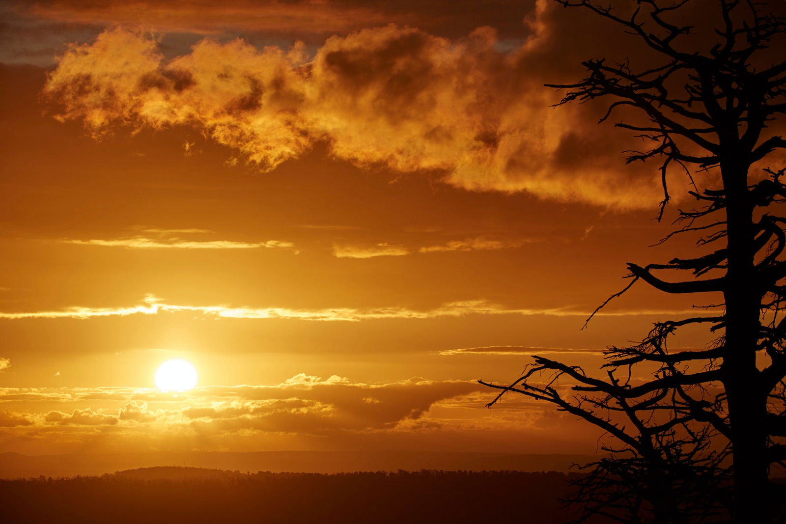 Kinglake Central VIC Yarra Valley Accommodation