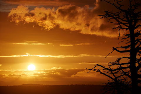 Lady Stonehavens Lookout - Yarra Valley Accommodation 0