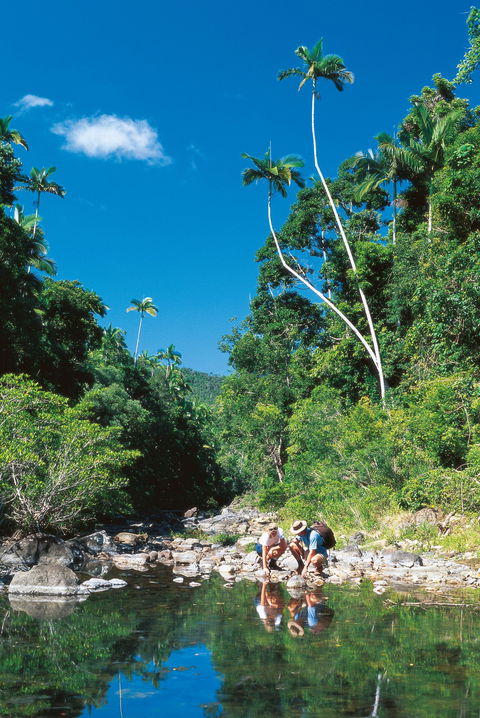 Airlie Beach To Cedar Creek Falls - Yarra Valley Accommodation 1