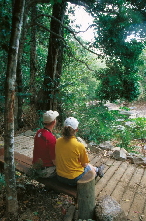 Airlie Beach To Cedar Creek Falls - Yarra Valley Accommodation 2