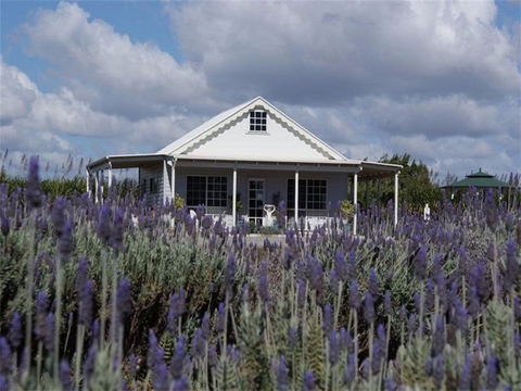 Amandine Lavender - Yarra Valley Accommodation 0