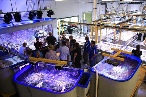 Australian Institute Of Marine Science - Yarra Valley Accommodation 0