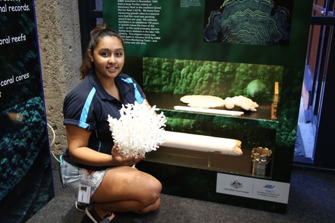 Australian Institute Of Marine Science - Yarra Valley Accommodation 2