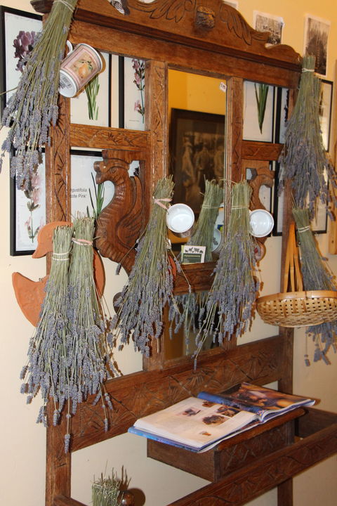 Lavender House In Railway Park - Yarra Valley Accommodation 1