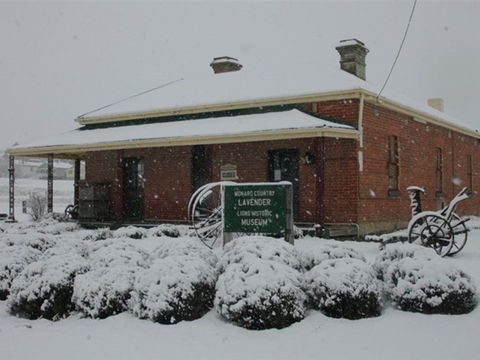 Lavender House In Railway Park - Yarra Valley Accommodation 2