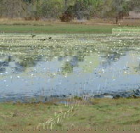 Leaning Tree Lagoon Nature Park - Yarra Valley Accommodation