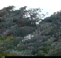 Mount Yarrowyck Nature Reserve - Yarra Valley Accommodation