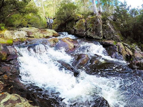 Polblue Falls - Yarra Valley Accommodation 0