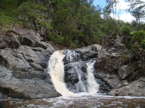 Landcruiser Mountain Park - Yarra Valley Accommodation 2