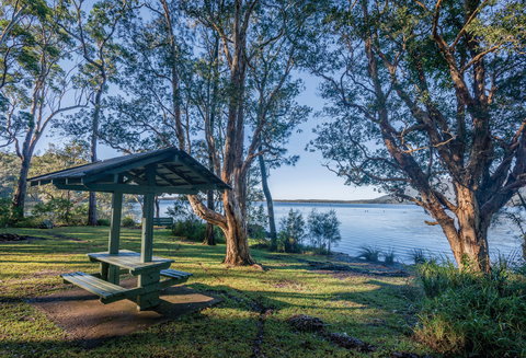 Queens Lake Picnic Area - Yarra Valley Accommodation 0