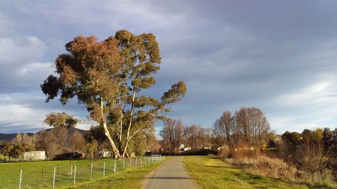 Adelong Falls Walk - Yarra Valley Accommodation 0