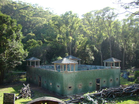 Alpha Paintball - Yarra Valley Accommodation 0