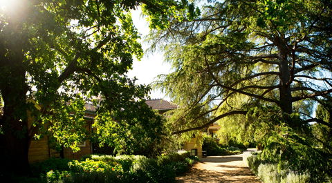Anlaby - Yarra Valley Accommodation 1