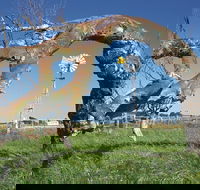 Greenough Leaning Trees - Yarra Valley Accommodation