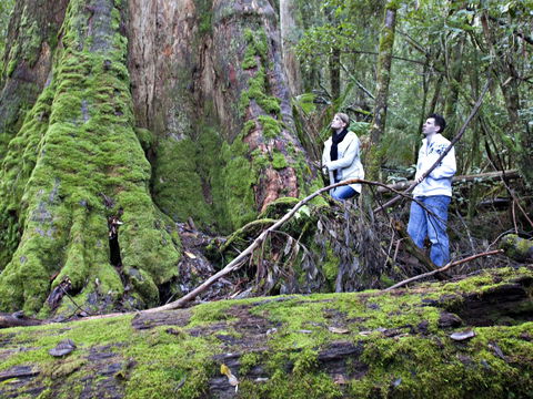 Hastings Caves And Thermal Springs - Yarra Valley Accommodation 2