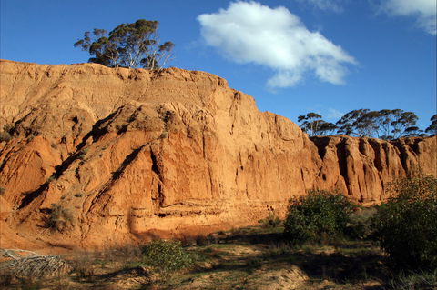 Red Banks Conservation Park - Yarra Valley Accommodation 0