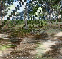 Djukbinj National Park - Yarra Valley Accommodation