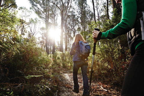 Kinglake National Park - Yarra Valley Accommodation 0