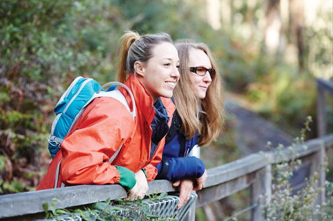 Kinglake National Park - Yarra Valley Accommodation 2