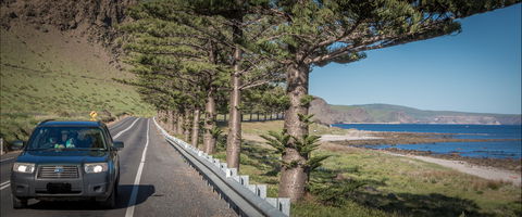 Lady Bay Beach - Yarra Valley Accommodation 0