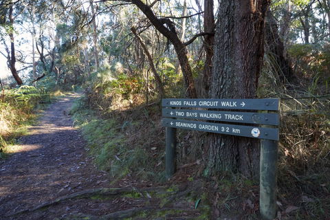 Arthurs Seat To Kings Falls Walk - Yarra Valley Accommodation 0