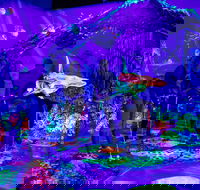 Glowing Rooms 3D Mini Golf - Yarra Valley Accommodation