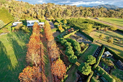 High Country Maze - Yarra Valley Accommodation 1