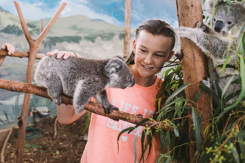 Oakvale Wildlife Park - Yarra Valley Accommodation 0