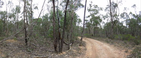 Paddys Ranges State Park - Yarra Valley Accommodation 0